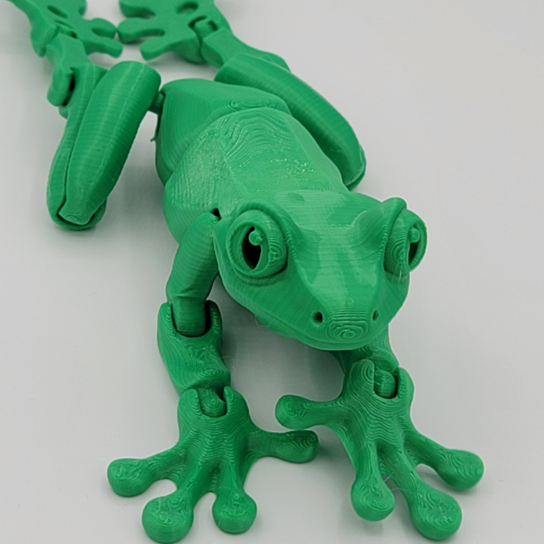 Tree Frog
