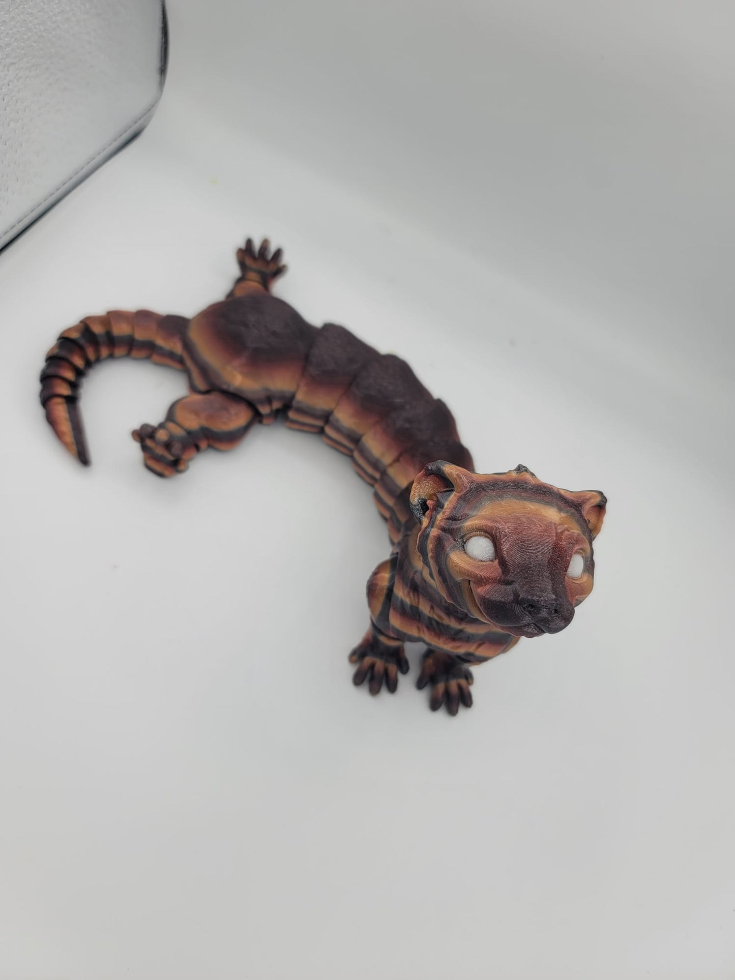 Ferret