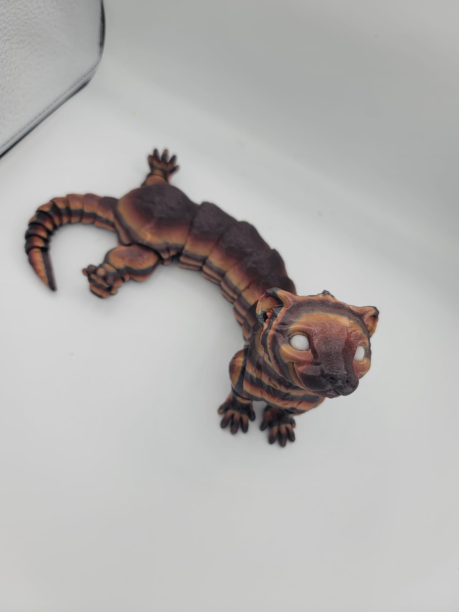 Ferret