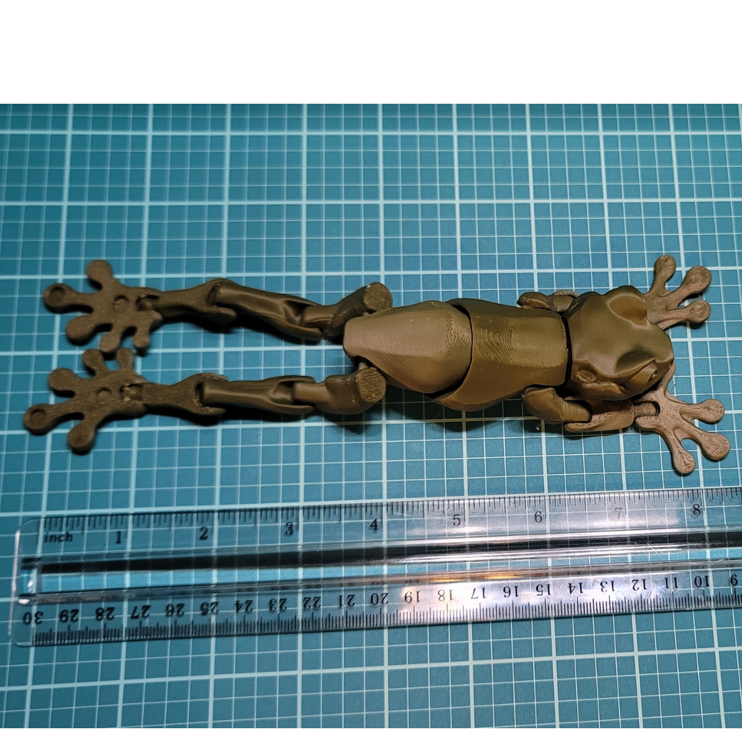 Tree Frog